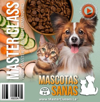 Mascotas Sanas Vale la pena Es bueno Master Classes es fiable